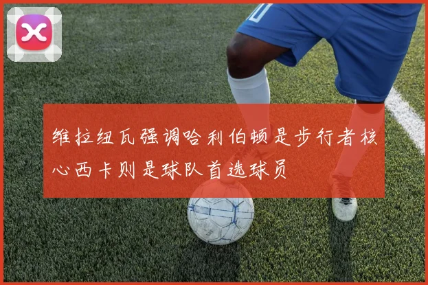 维拉纽瓦强调哈利伯顿是步行者核心西卡则是球队首选球员