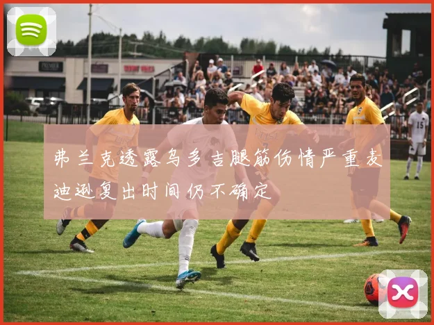 弗兰克透露乌多吉腿筋伤情严重麦迪逊复出时间仍不确定