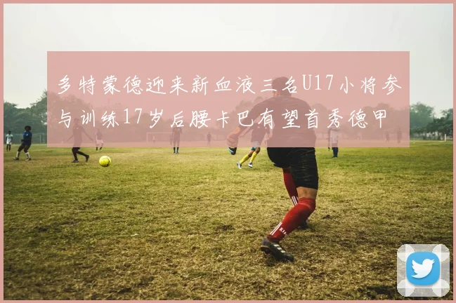 多特蒙德迎来新血液三名U17小将参与训练17岁后腰卡巴有望首秀德甲