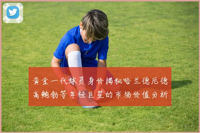 黄金一代球员身价揭秘哈兰德厄德高鲍勃等年轻巨星的市场价值分析