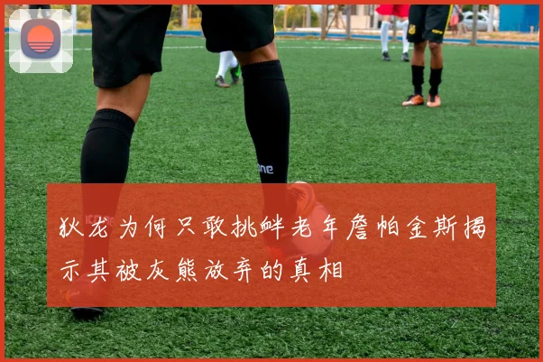 狄龙为何只敢挑衅老年詹帕金斯揭示其被灰熊放弃的真相